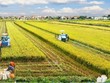 Nỗ lực hoàn thành các chương trình mục tiêu quốc gia