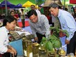 Quảng Nam dự kiến thu hút hơn 11.800 tỷ đồng đầu tư vào nông nghiệp