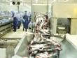 Xuất khẩu muốn đi đường dài, FTA mới chỉ là điều kiện cần