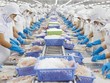 Ngành thủy sản, dệt may nhìn từ thương chiến Mỹ - Trung