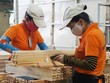 Ngành lâm nghiệp đặt mục tiêu xuất khẩu năm 2020 đạt từ 12,5 tỷ USD