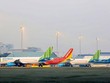 Chi tiết thị phần nội địa của các hãng hàng không