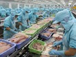 Thủy sản Cửu Long An Giang báo lãi quý 4/2019 “tụt dốc” 87%, cổ phiếu theo đà giảm sâu