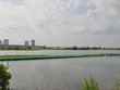 Đà Nẵng ứng phó dịch Corona: Cho học sinh nghỉ học, tạm dừng khởi công 2 dự án