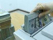 Tỷ giá trung tâm lần đầu giảm nhiệt trong năm Canh Tý