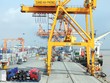 Doanh nghiệp cảng biển trong vòng xoáy đại dịch