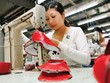 Đáp ứng quy tắc xuất xứ để tận dụng ưu đãi từ EVFTA