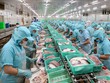 Dịch COVID-19: Ngành thủy sản 'cầm cự' chờ thị trường khôi phục