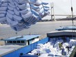 Thủ tướng “chốt” phương án xuất khẩu gạo 400.000 tấn trong tháng 4