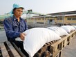 Sau 15 ngày mở được tờ khai, các doanh nghiệp chưa xuất khẩu được 50% lượng hạn ngạch gạo