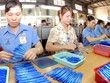 Bút bi Thiên Long ghi nhận quý lỗ đầu tiên kể từ khi lên sàn