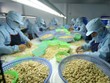 Vinacas: Doanh nghiệp điều nên bình tĩnh, không bán tháo