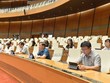Đề xuất tiếp tục miễn thuế sử dụng đất nông nghiệp đến hết năm 2025