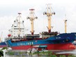 Vinalines sắp đại hội cổ đông lần đầu, khép lại “hải trình” cổ phần hóa gian nan
