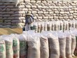 Đã mua và nhập kho 83,5% lượng gạo dự trữ