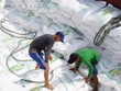 Quy trình phân bổ 80.000 tấn gạo trong EVFTA