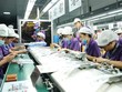Thu hút các đại gia công nghệ hàng đầu thế giới: Ấn Độ “chơi lớn”, Việt Nam không ngại cạnh tranh