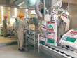 Hóa chất Đức Giang (DGC): Vinachem đăng ký bán toàn bộ hơn 6 triệu cổ phiếu