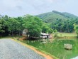 Đất Ba Vì hút khách nội đô