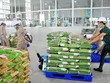 10 tháng, Việt Nam đã xuất khẩu gần 5,4 triệu tấn gạo