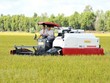 Viện Tầm nhìn châu Á đề xuất thành lập Hiệp hội lúa gạo khu vực ACMECS
