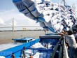 Triển khai nhiều giải pháp hỗ trợ doanh nghiệp xuất khẩu gạo sang EU
