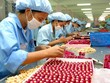 Vẫn lúng túng các biện pháp thi hành Luật thuế Nhập khẩu, thuế xuất khẩu