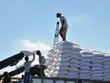 Không có thương nhân nào đăng ký đấu giá hạn ngạch nhập khẩu đường 2020