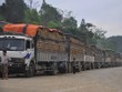 Doanh nghiệp phải chủ động điều tiết lượng hàng nông sản xuất sang Trung Quốc