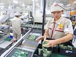 Tỷ lệ thất nghiệp tại thành thị quý IV/2020 ở mức cao nhất so với cùng kỳ trong 10 năm qua