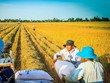 Thị trường nào nhập 1 tỷ USD gạo Việt?