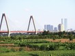 Theo chân F0 săn đất nền
