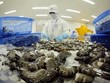 Việt Nam hoàn tất quy trình thông báo phê duyệt UKVFTA trong tháng 3/2021
