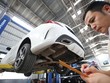 Tăng thị phần bảo hiểm gốc, cơ hội chia đều