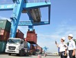"Trái ngọt" thu về từ các FTA