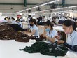 Bức tranh lao động, việc làm chân thực hơn