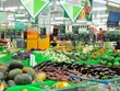 Oằn lưng trong “cơn bão” giá - Bài 7: Những kế sách từ thực tiễn