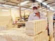 Một năm, hàng Việt dính 39 vụ việc phòng vệ thương mại