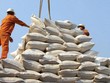 Bộ Nông nghiệp Mỹ dự báo Việt Nam tiếp tục đứng thứ 2 về xuất khẩu gạo
