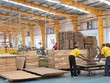 Tiềm ẩn nguy cơ lẩn tránh xuất xứ để xuất khẩu