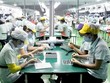 Hà Nội: Kim ngạch xuất khẩu hàng hóa đạt 5,89 tỷ USD, tăng 8,1%