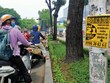 Doanh nghiệp bất động sản gồng mình vượt dịch