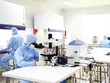 TP.HCM vận động các doanh nghiệp vừa sản xuất, vừa cách ly