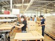 Ngành gỗ: Đề phòng tình trạng giả mạo xuất xứ