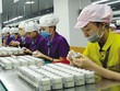 Doanh nghiệp FDI cũng phải thở bình “ô xy”