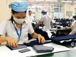 Nhiều người không có việc làm nhưng không được coi là thất nghiệp