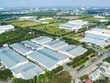 Tiền Giang được phép chuyển gần 30 ha đất trồng lúa sang đất phi nông nghiệp