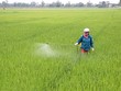 Ngành nông nghiệp quyết tâm không để xảy ra “dịch chồng dịch”
