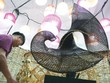 Phát triển kinh tế tập thể, hợp tác xã năng động, hiệu quả