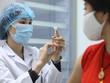 Xem xét cấp phép vắc-xin Nano Covax
